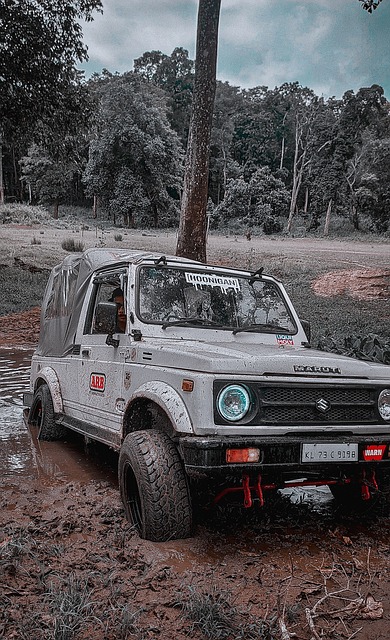 NBA球员三球：天赋被高估还是实力不足？.