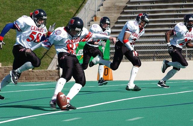 波鴻足球俱樂部介紹.